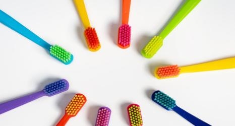 防蚁母粒的配方设计